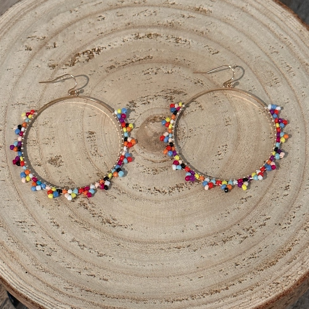New never worn multi colored seed bead hoop fish hook earrings.